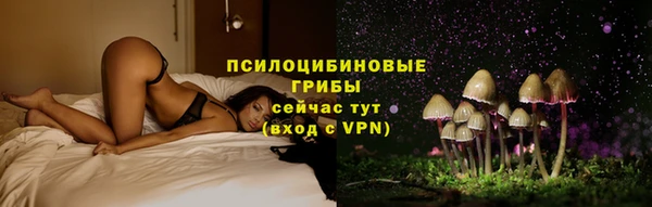 МДПВ Арсеньев
