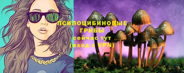 Альфа ПВП Аркадак