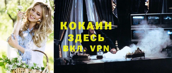 ECSTASY Алзамай