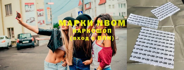 ECSTASY Алзамай