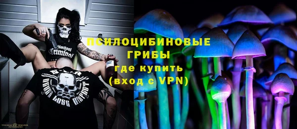 ECSTASY Алзамай