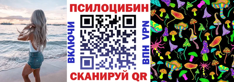 Псилоцибиновые грибы Psilocybine cubensis  наркота  это наркотические препараты  Новошахтинск 