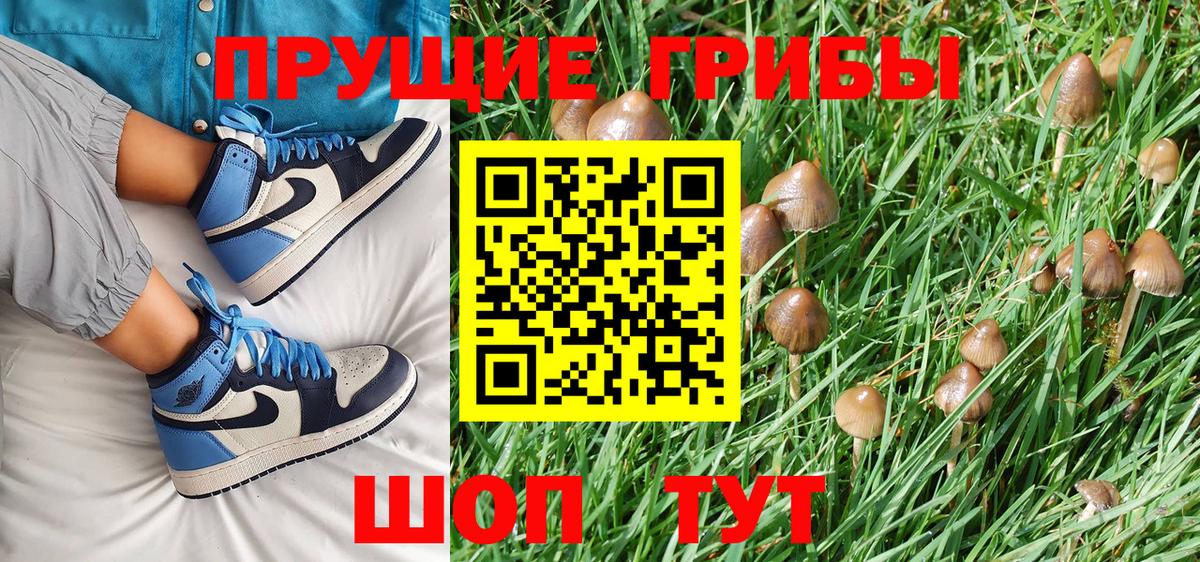 Псилоцибиновые грибы Magic Shrooms  Вход с VPN  Новошахтинск 