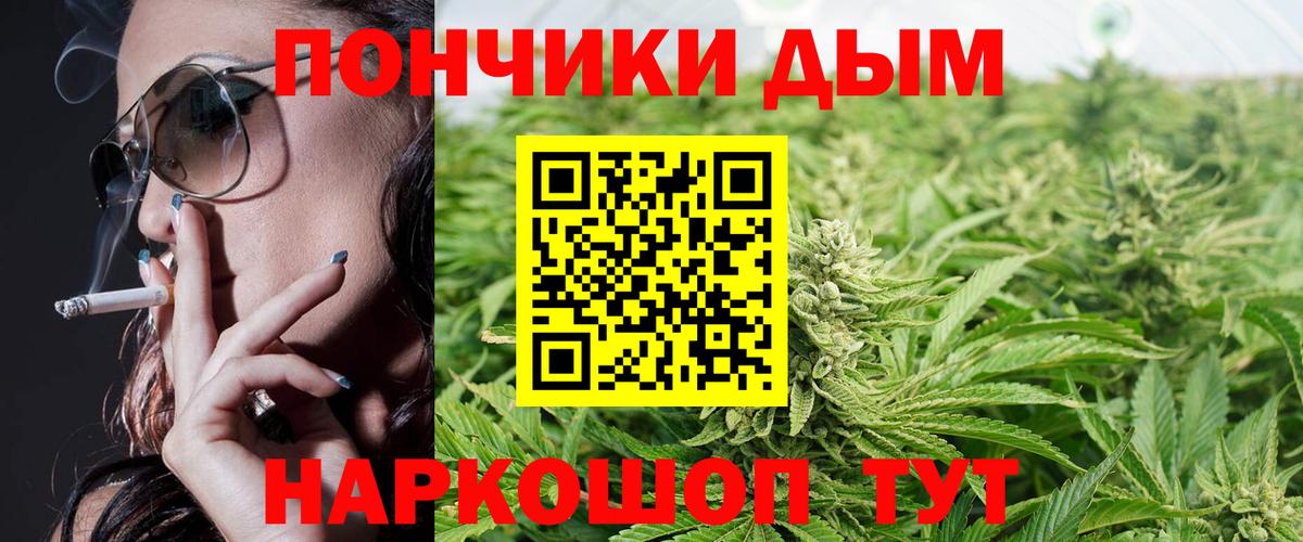 Конопля гибрид Новошахтинск